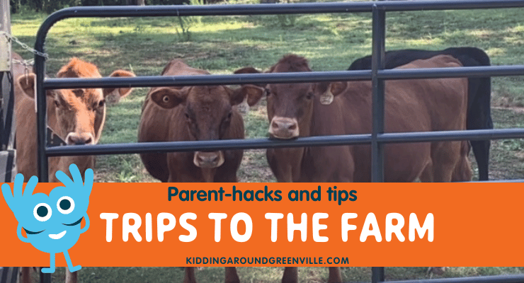 Parent tips for farm trips